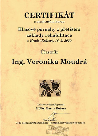 certifikat_hlasova_rehabilitace.jpg