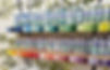 IMG_7987 (1).jpeg
