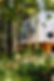 voyageurs-outpost-little-dipper-dome-exterior-forest-trees.jpg