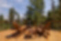 voyageurs-outpost-big-dipper-dome-exterior-amenities-firepit.jpg