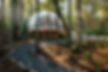 voyageurs-outpost-little-dipper-dome-exterior-forest-walkway-entrance-view.jpg