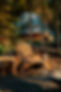 voyageurs-outpost-little-dipper-dome-exterior-firepit-walkway-forest-view.jpg