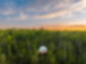 Voyageurs-outpost-big-dipper-dome-exterior-sunset.jpg