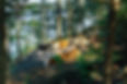 voyageurs-outpost-little-dipper-dome-exterior-firepit-lake-view-min.jpg