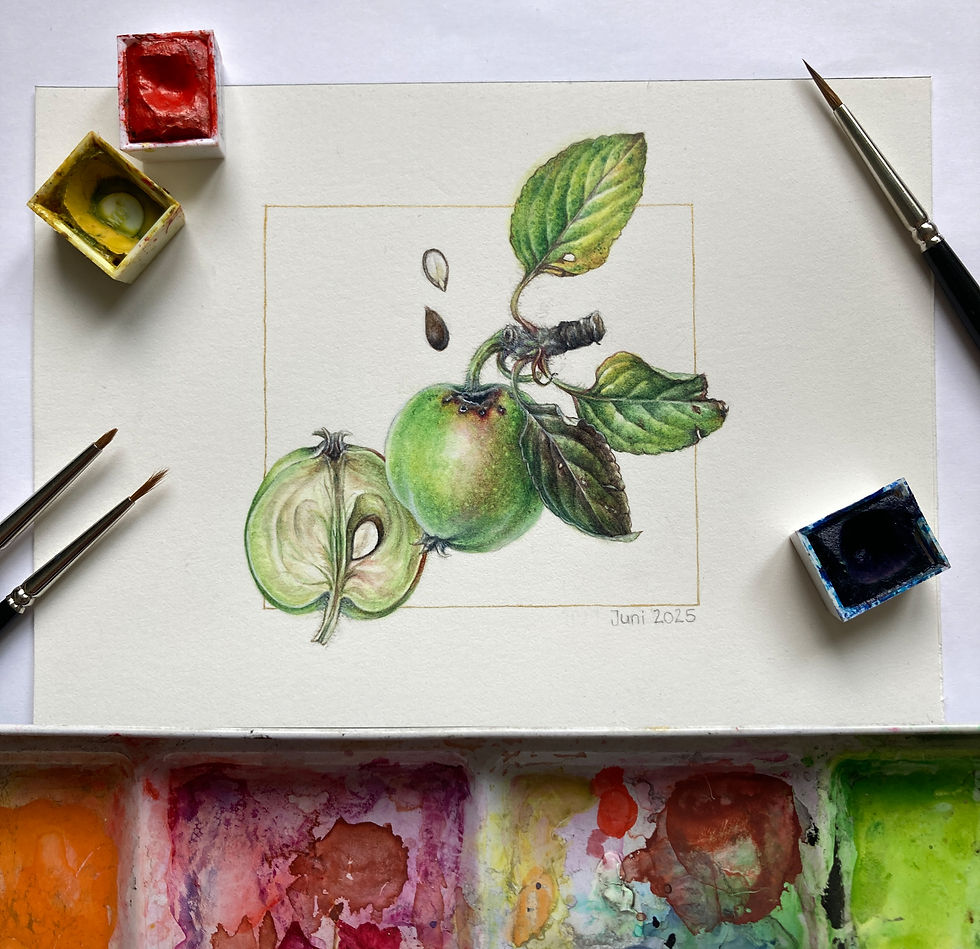 IM Apfel.jpg