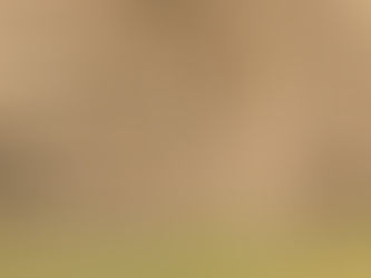 SideFX Houdini FX 18 Windows Crack .rar