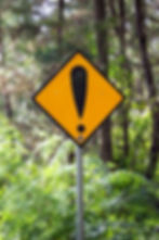 Yellow diamond warning sign with exclamation mark, set amidst lush green foliage and trees in a forest. Bright and cautionary mood.