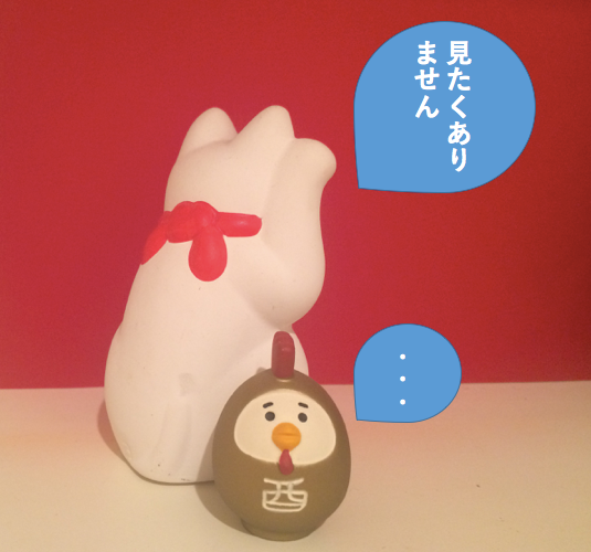 風水「部屋の中にある見たくないもの」