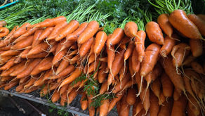 Celebrating the Red Chantenay Carrot (and How We Save Its Seeds)