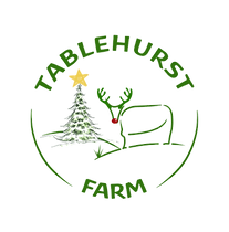xmas logo 2026_edited.png