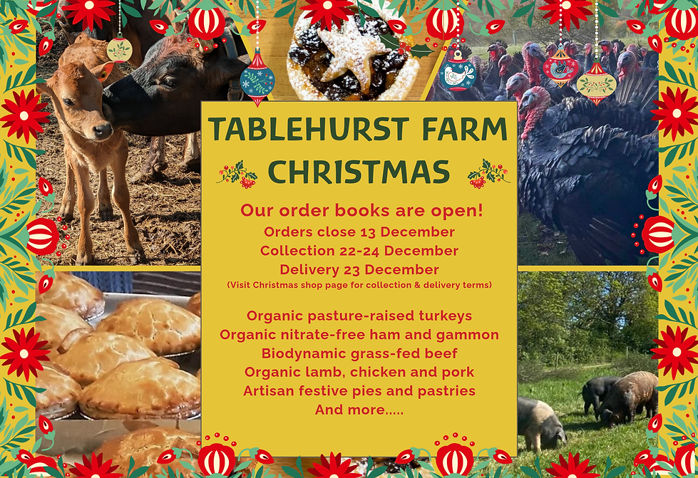 Christmas Poster 2026 Website NOW OPEN.png