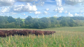 This Last Year: Both Exciting and Challenging!