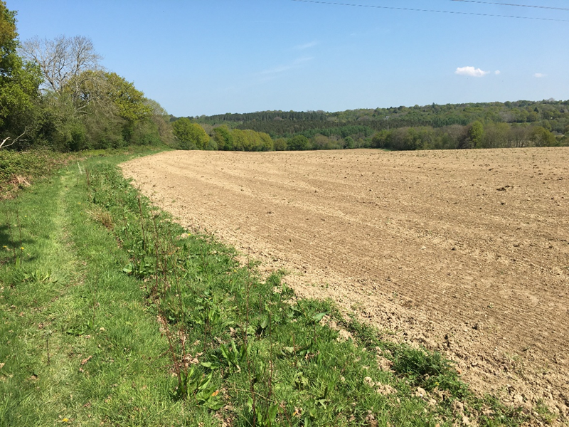 Section of Great Cansiron Farm before herbal leys.