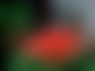 秋彼岸特別セール開催