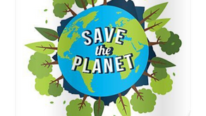 How to help save the environment from home!