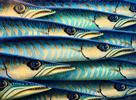 Commission for oil painting of a school of bafrracudas in hues of turquoise and blue - Collection KeyWest from Alicia Zemanek Oil painter