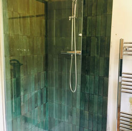 Bespoke Single Panel Shower Enclosure.jpg