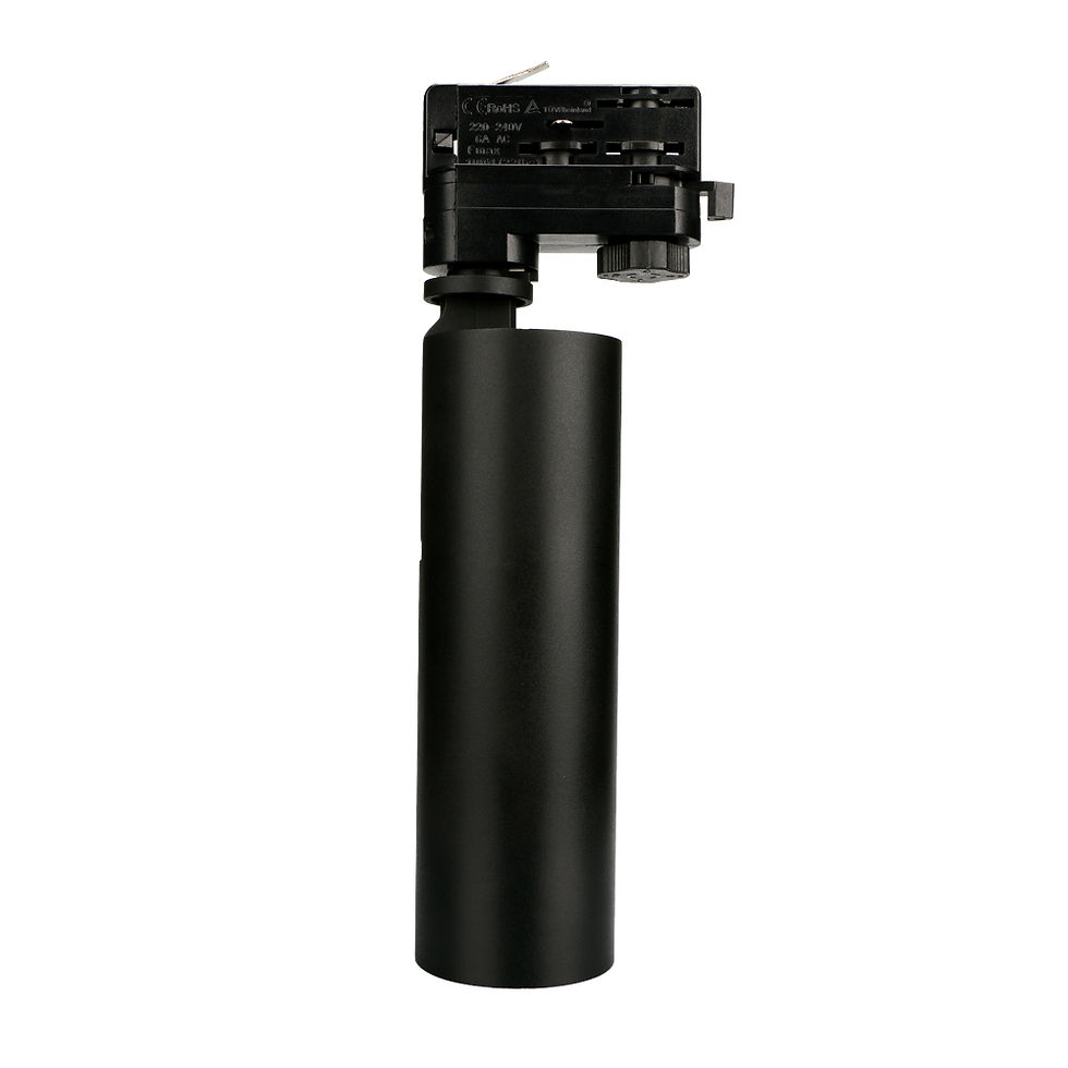Miniature : PROJECTEUR LED PATÈRE 25 W ALTIS - 10254