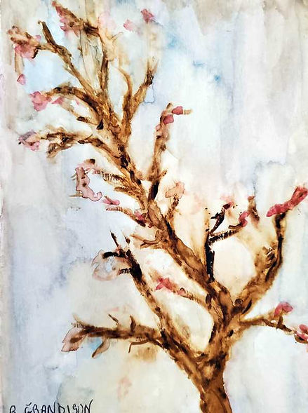 Budding in California Winter.jpg
