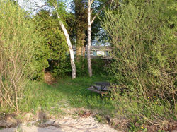 The Anchor from the beach