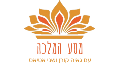 חדש לוגו לאתר.png