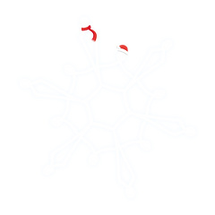 materiali-grafica-1-20222_edited.png