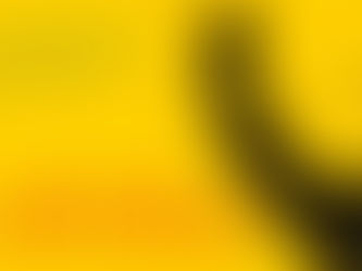 Bram Fischer (2017) de Jean Van De Velde: Mandela, o seu advogado e a minha viagem no filme