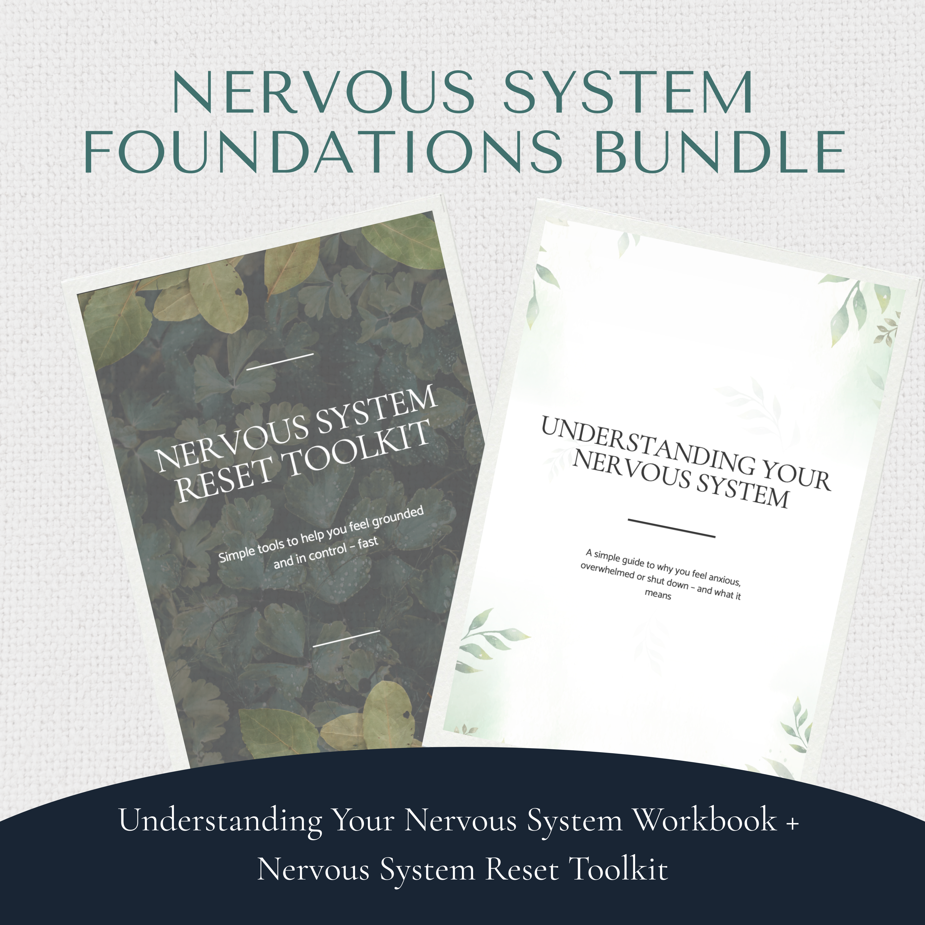 Nervous System Foundations Bundle