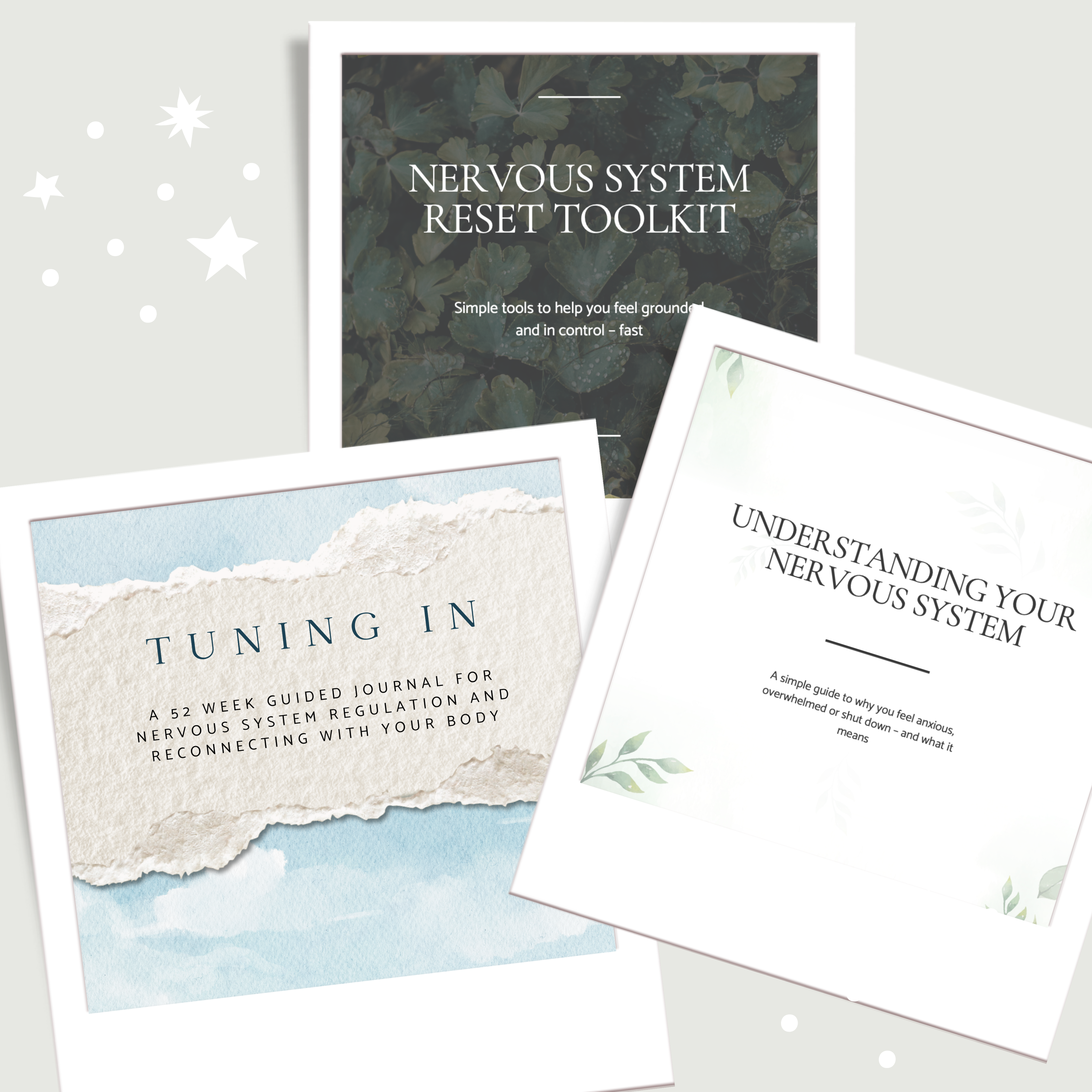 Complete Nervous System Set