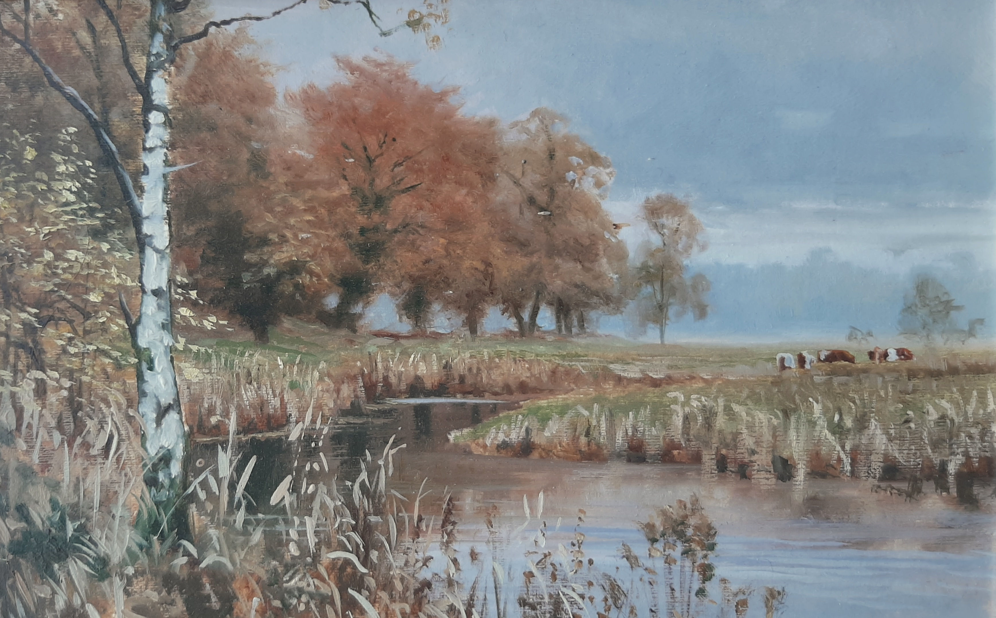 Autumn in Rusland Valley