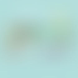 Salud en Tres: los pilares que transforman tu bienestar