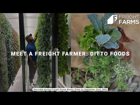 Ditto Foods