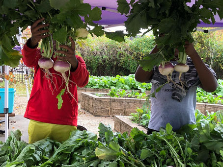 "Grow Food. Heal Communities."