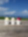 2019ishigaki21