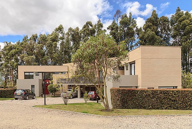 arboles de fondo.jpg