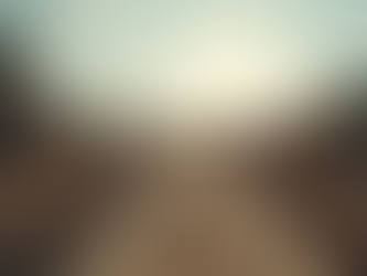 CVR Reporting: Essential for Construction Financial Control