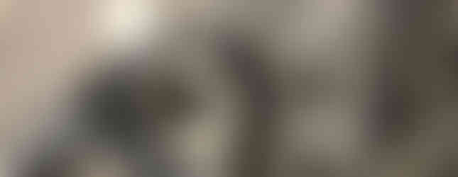 specialized tarmac dropout damage carbon bike repair