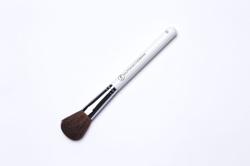 Miniatură: B2 - Big Blusher Brush