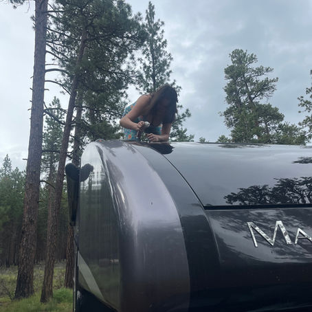 The Bad and the Ugly