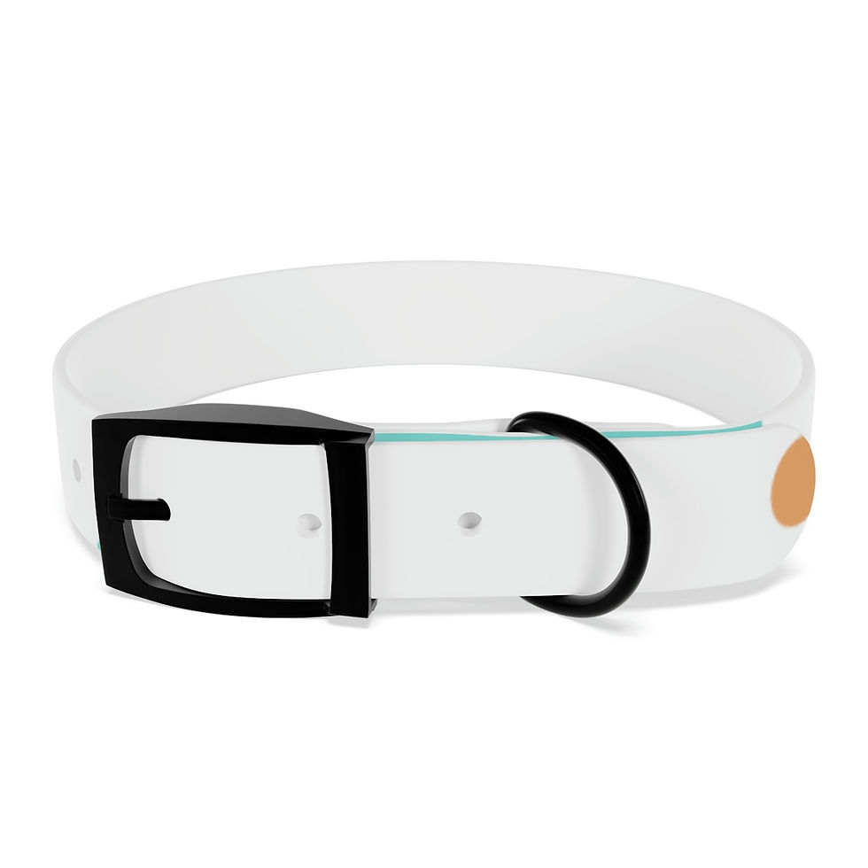 Thumbnail: It's Poetic Dog Collar