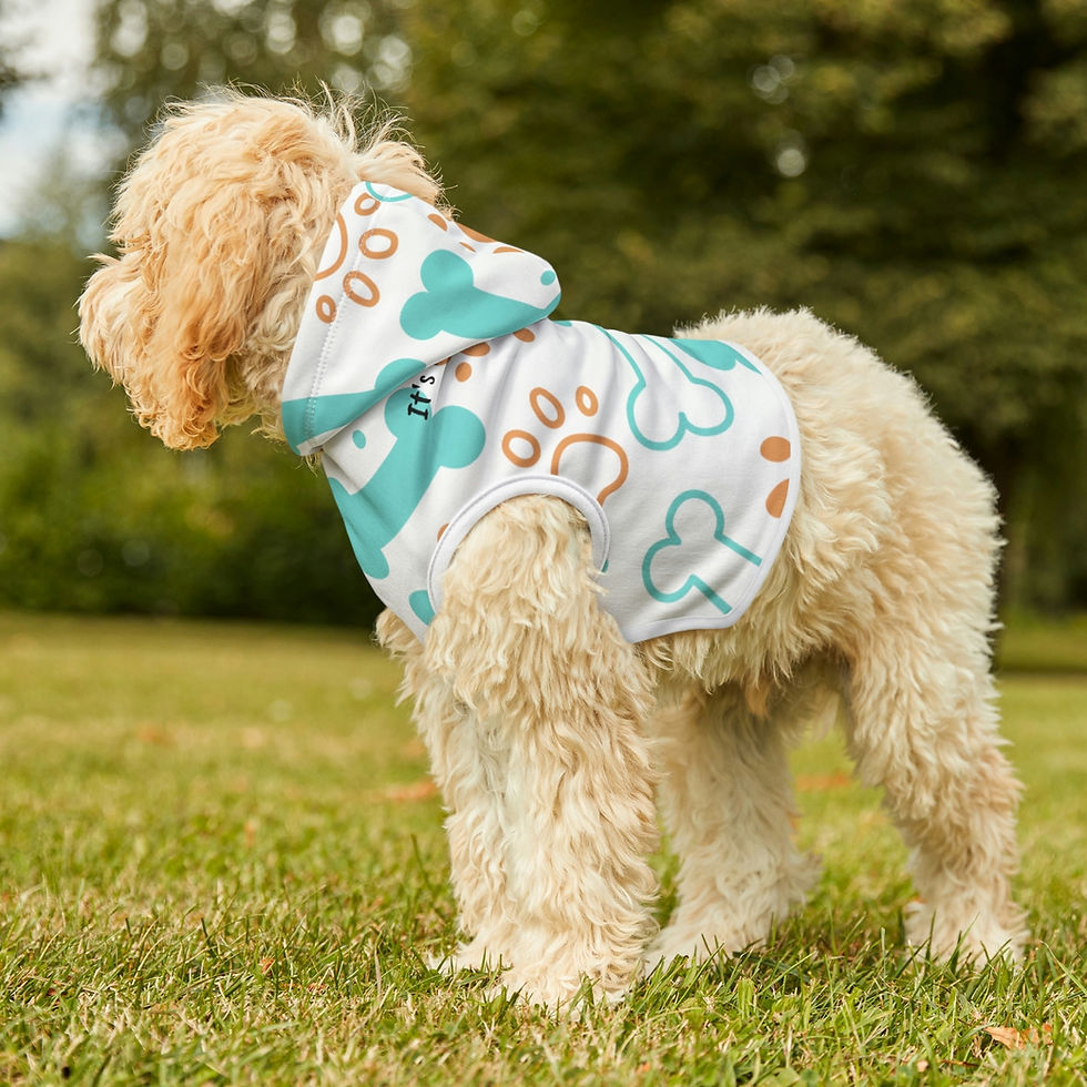 Thumbnail:  It's Poetic Dog Hoodie - bones