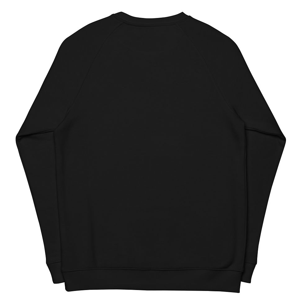 Миниатюра:  Introvert sweatshirt