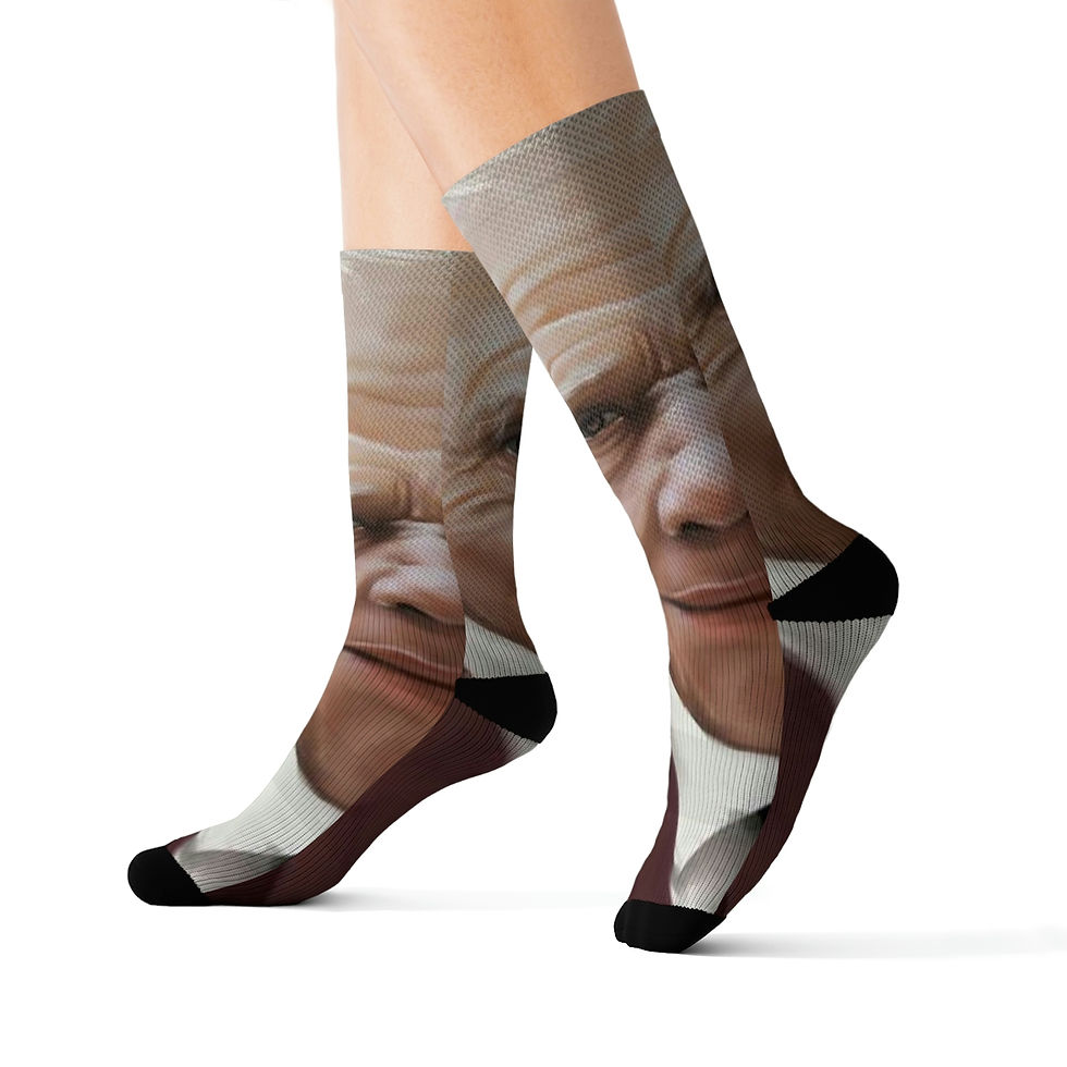 थंबनेल: Robert Frost Fun Poetry Socks