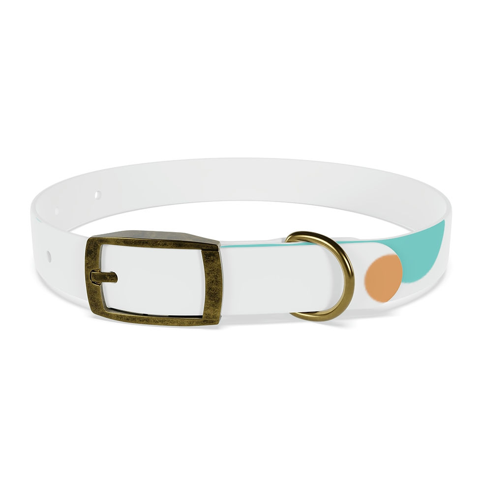 Miniatura: It's Poetic Dog Collar