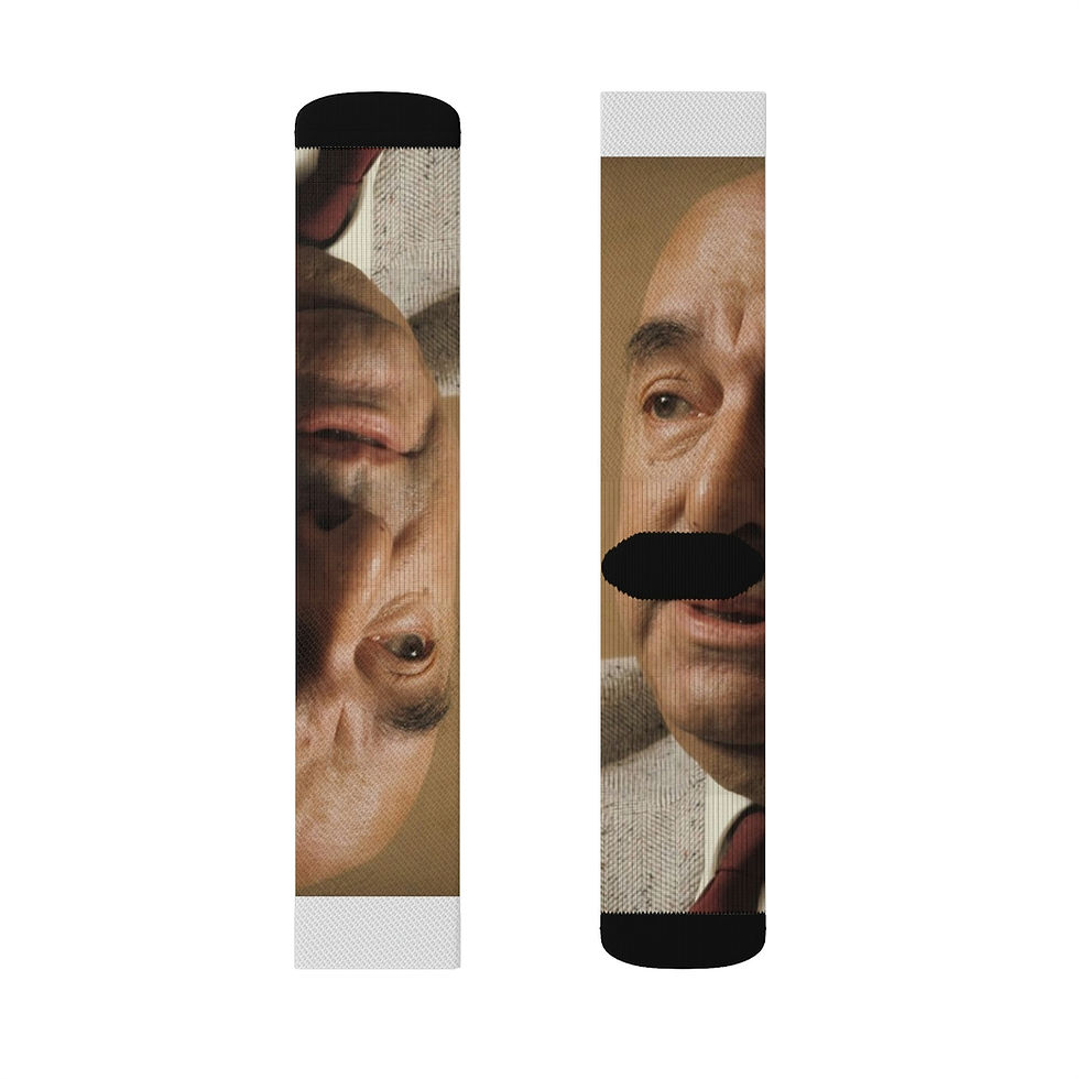 Miniatura:  PABLO NERUDA Fun Poetry Socks
