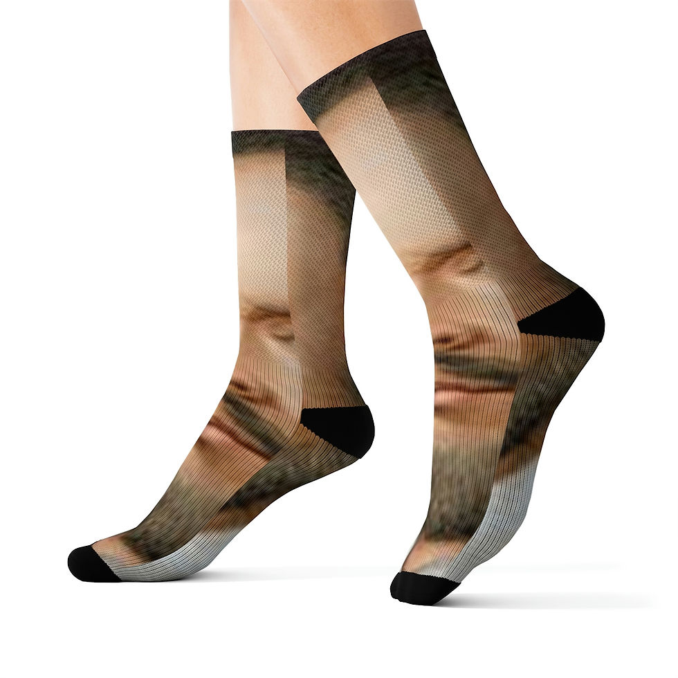 Thumbnail: William Shakespeare Fun Poetry Socks