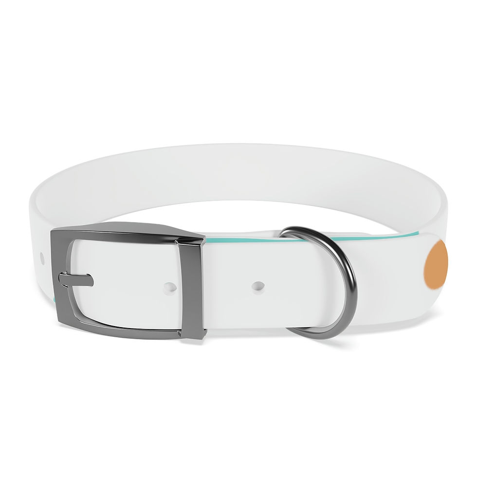Miniatura: It's Poetic Dog Collar