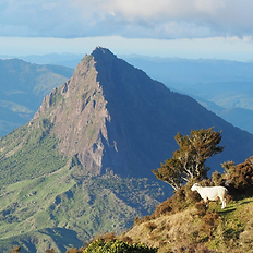 Hut view at Maunga Hikurangi