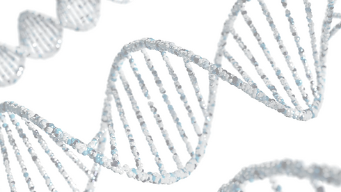a double strand of blue and white spirals_edited.png