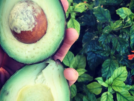 The Fat Fear Factor: How We Got it All Wrong